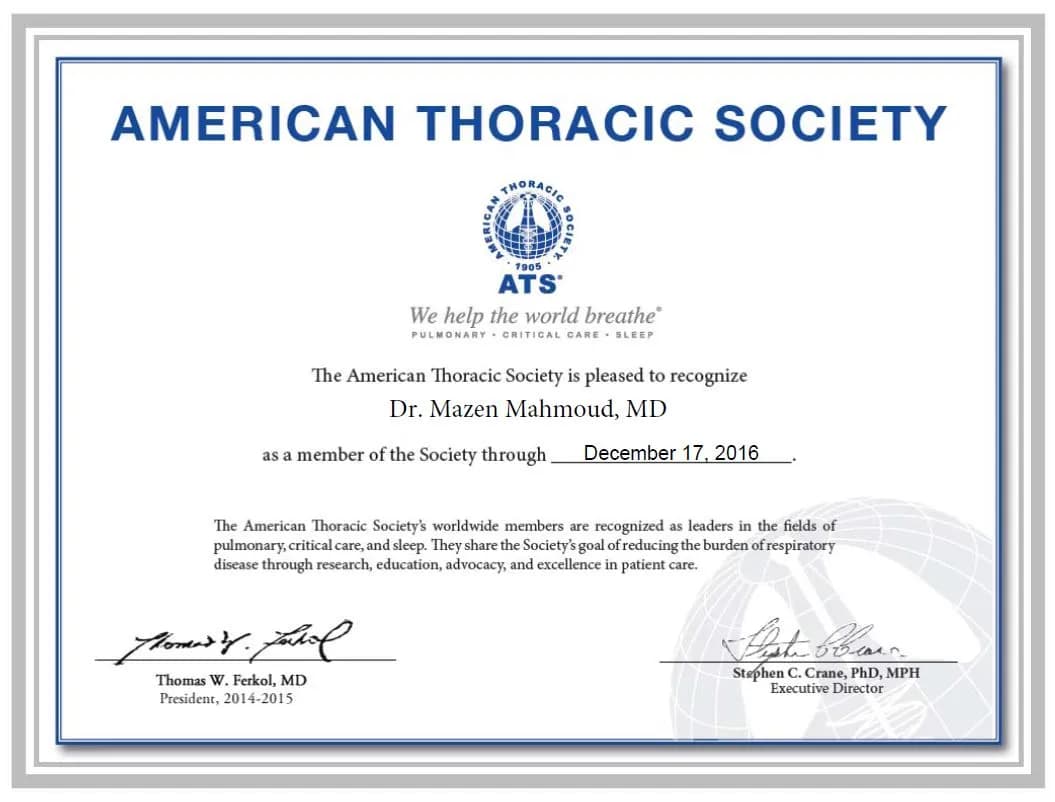 مستند شهادة 11